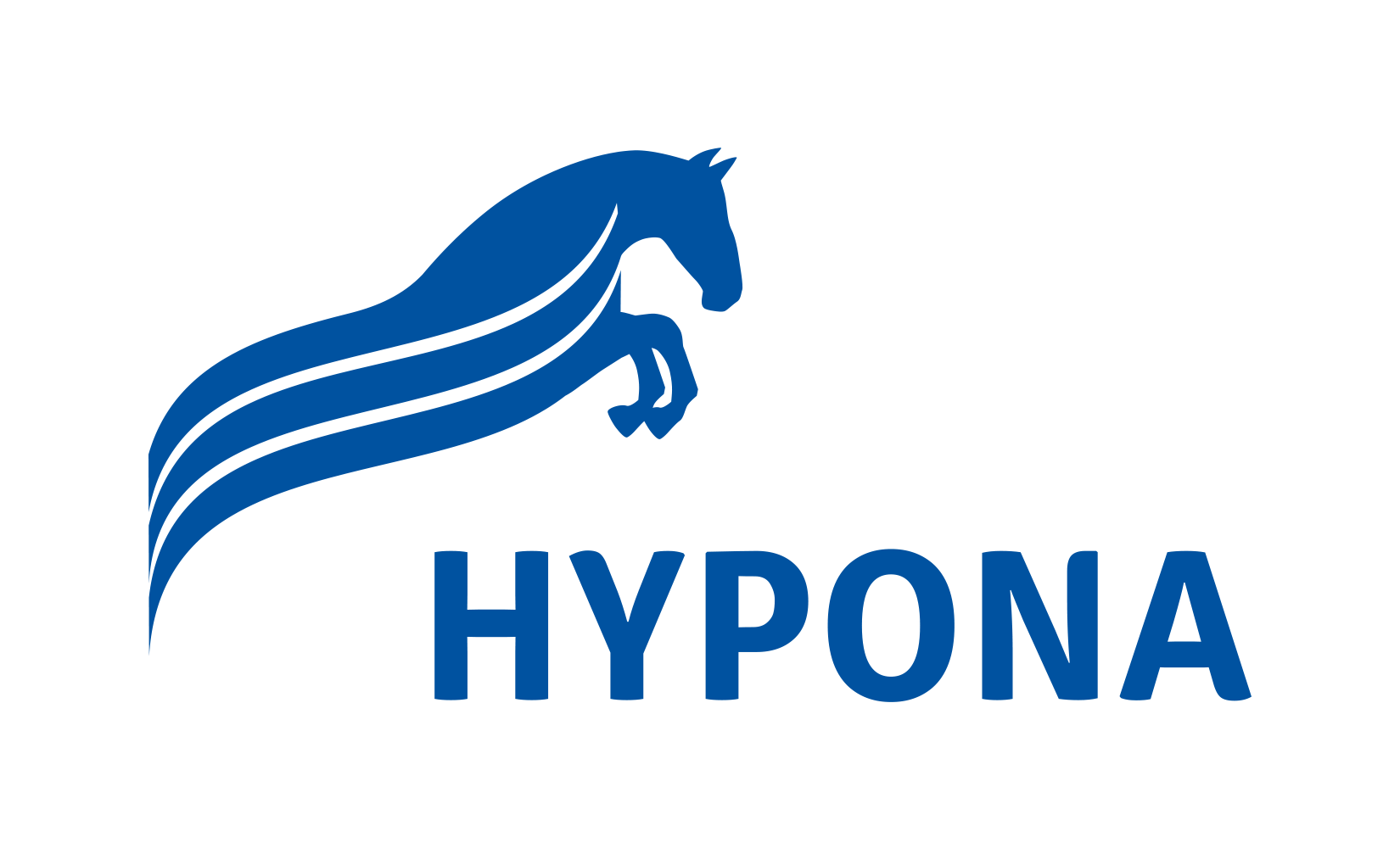 logo_hypona